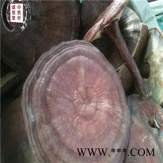 灵芝 云南赤灵芝  德誉堂药业批发各种中药材图4