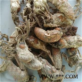 芝春堂 中药材 虫花 金蝉花 蝉菌 蝉蛹草 蝉花 优质新货 保证质量图2