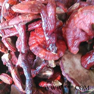 灵芝个 小灵芝选个 产地 云南省图2