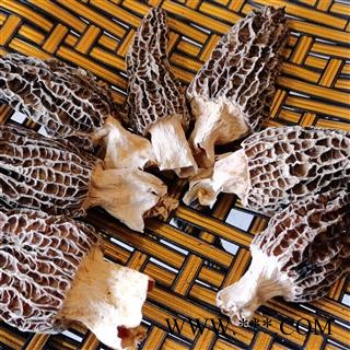 羊肚菌 选装羊肚菌 产地 西藏自治区昌都地区图2