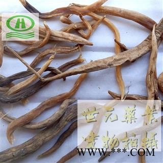 世元药业 石刁柏 石刁柏根 特级（地下部分）别称芦笋 露笋 龙须菜【全品除尘中药】图2