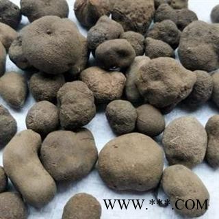 雷丸 正品保证质量7天无理由退货退款 安品堂图2