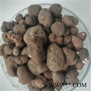 雷丸 正品保证质量7天无理由退货退款 安品堂图4