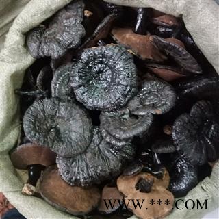 紫灵芝 实图拍照7 正品保证质量7天无理由退货退款 安品堂图2