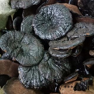 紫灵芝 实图拍照7 正品保证质量7天无理由退货退款 安品堂图3