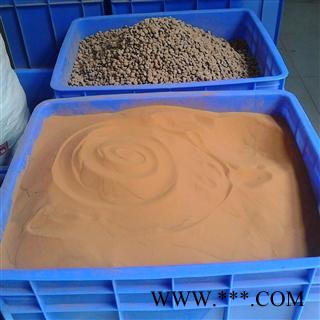 正品 海金沙 2021年货 产地 四川省宜宾市翠屏区图3