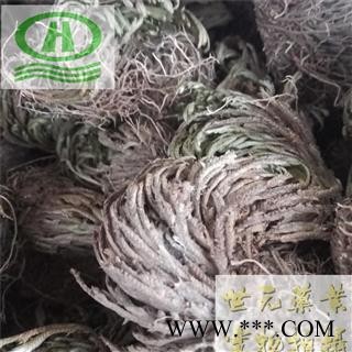 世元药业 卷柏 正品 九死还魂草 石柏 岩柏草 黄疸卷柏图2