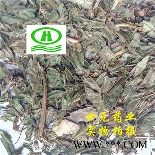 世元药业 凤尾草 正品 凤凰草 鸡脚草 五指草 金鸡尾 优质图2