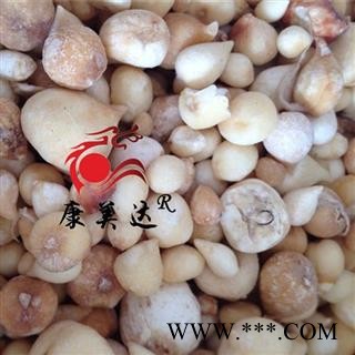 光慈姑 统货 产地 云南省 凯捷中药图2