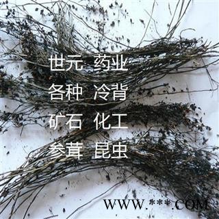 世元药业 石龙芽草 山胡椒 胡椒草 夏无踪 白花叶 黄金丝 滴水不干图2