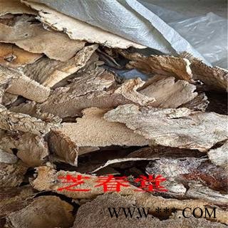 芝春堂 长白山野生白耙齿菌，以长在杨树上的为佳品 支持验货图4