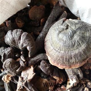 小丽百草行灵芝 灵芝 海南灵芝图2