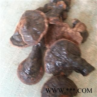 吉康药业云南反柄紫芝 马蹄灵芝 紫灵芝品质保证七天无条件退换图2