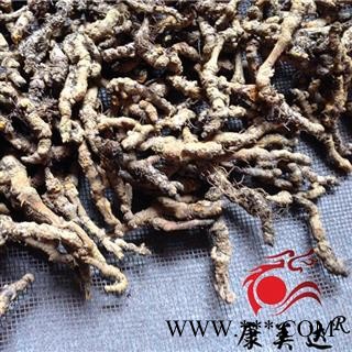 黄连 石柱黄连单枝精选三级 产地 四川省图3