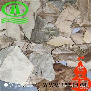 世元药业 灯台叶 别称 灯台树 吃力秀 阿根木 大矮陀 鸭脚树 英台木 鹰爪木 九度叶 肥猪叶图2