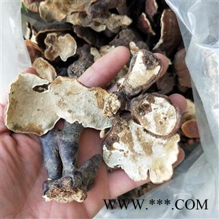 灵芝个 西藏高山野生灵芝小统个 产地 西藏自治区图3