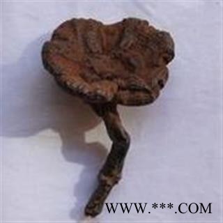 灵芝 灵芝野生纯正1000克促销批发价 产地 吉林省通化市东昌区 大货批发价图2