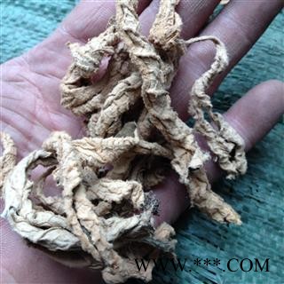 岩白菜 岩壁菜 石白菜 岩七 红岩七 统 产地 云南图2