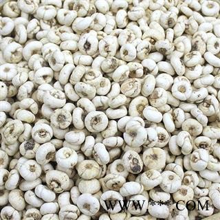 贝母 平贝母 选1.0-1.2 产地 吉林省 产地直销 重在质量图2