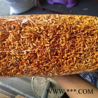 虫草花 孢子头 金虫草花 正品保证质量7天无理由退货退款 安品堂图4