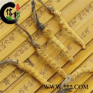 冬虫夏草2条一克虫草那曲2000条冬虫夏草如假包换假一罚万专注品质，诚信信邦！图2