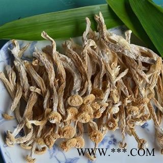 海鲜菇全干货正品保证质量 中药材批发 丽丽药业图4