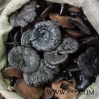 紫灵芝 实图拍照正品保证质量7天无理由退货退款 安品堂图4