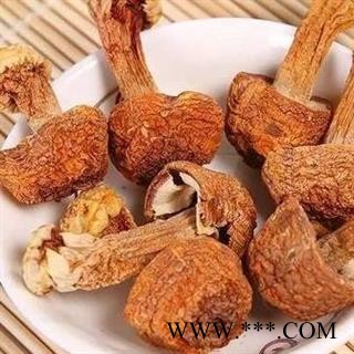 姬松茸 松茸正品保证质量7天无理由退货退款 中药材批发 丽丽药业图3