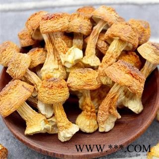 姬松茸 松茸正品保证质量7天无理由退货退款 中药材批发 丽丽药业图4