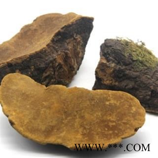 桑黄 木灵芝 梅树菌树蛇 桑黄菇 桑黄菰 槐耳 桑耳 正品保证质量7天无理由退货退款 华安堂图3