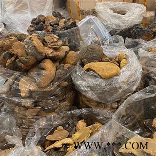 桑黄500g 西藏金边桑树桑黄灵芝散装零售 中药材批发 量大从优图4