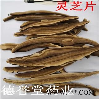 灵芝 选 灵芝片 产地 山东 德誉堂药业批发各种中药材图4
