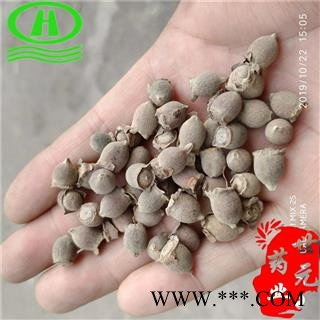 世元药业 地稔子 别称 地任子 地念子 地棯子 紫茄子 山辣茄 库卢子 地樱子 地枇杷图2