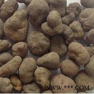 雷丸 选批发各种规格名贵药材 中草药 花茶 矿石 籽粒仁 动物 人参 冷背药材 产地 甘肃图2