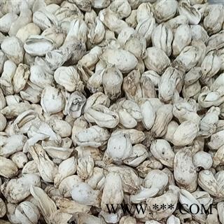 炉贝母 卢贝母 种植炉贝母 选货  产地 新疆维吾尔自治区图2