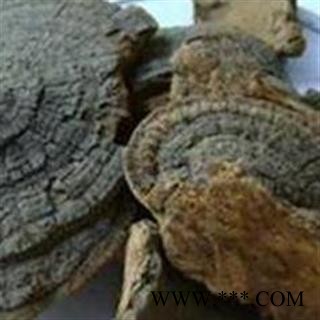 槐耳 统 产地直销 价格便宜  产地 山东省图2