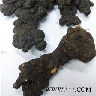 猪苓 野生猪苓统个 产地 黑龙江省 华美中药 产地直销 重在品质图4