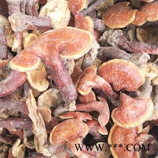 灵芝个 四川野生金边灵芝 产地 四川省甘孜藏族自治州图2