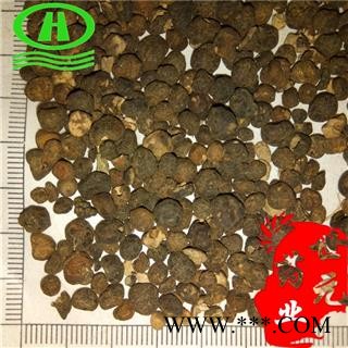 世元药业 地下明珠 铁秤锤 土地子 地下珍珠 茅膏菜根 正品 落地珍珠【全品除尘中药】图2