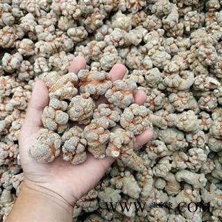 三七 三七40头 产地 云南省 产地直销 重在质量图3