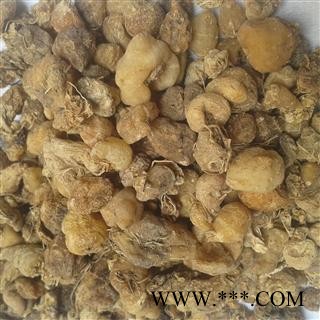 山慈菇 山慈菇统货 产地 云南省图2