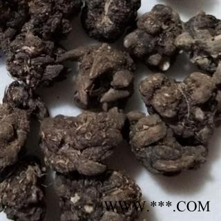 猫爪草 猫爪草 家种猫爪草中选货1.0-1.4  产地 安徽省图2