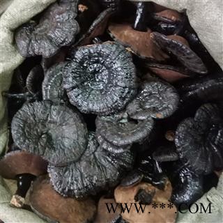 黑灵芝 实图拍照正品保证质量7天无理由退货退款 安品堂图4