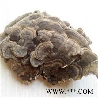 云芝 彩纹云芝 黄云芝 灰芝 瓦菌 木灵芝 正品保证质量7天无理由退货退款 华安堂图2