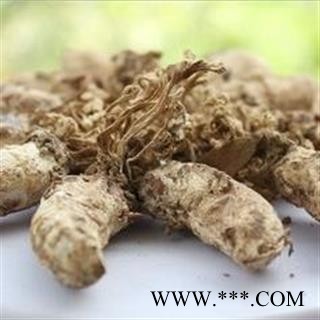 金蝉花统货正品保证质量7天无理由退货退款 中药材批发 丽丽药业图2