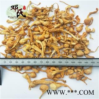 【满包邮】虫草花 孢子头虫草花 金虫草 优选品质 产地直销 邓氏中药批发图2