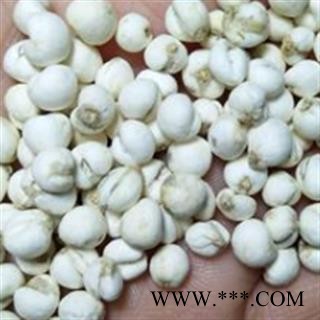 贝母 精品手选0.55平贝母。和川贝差不多 产地 吉林省图3