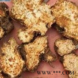 苍术 内蒙古苍术，朱砂点 产地 内蒙古自治区图2