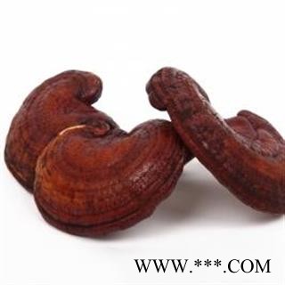 【录建药业】新货灵芝个1000克  重在品质 过筛无杂质   规格齐全 批发零售抓方打粉图3