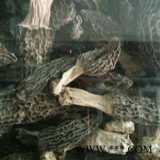 羊肚菌 羊肚菌特大个 产地 西藏自治区图2